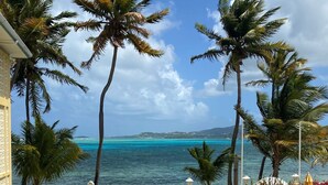 A view of a beach with palm trees and a clear blue sky. - Oceanfront, Remodeled 2BR- 2 King Size Beds / 2BA Condo at Ocean's View (Christiansted)