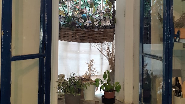 A window with a view of a garden, a wicker basket, and several potted plants. - Oustaù des Carmes intra-muros (Avignon)