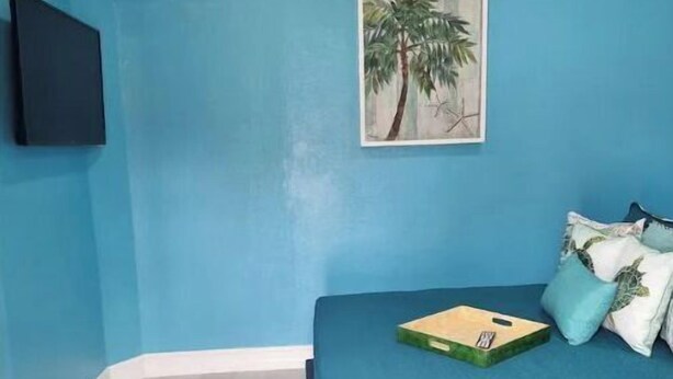A bedroom with a blue wall, a bed with a blue bedspread, a painting of palm trees, a ceiling fan, and a TV mounted on the wall. - Cozy 1 bed in Nassau best kept secret ! (Nassau)