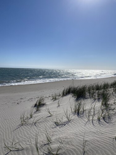 Hutchinson Island Dog Friendly Cozy Condo. Directly across from the BEACH! 