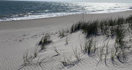 Hutchinson Island Dog Friendly Cozy Condo. Directly across from the BEACH!