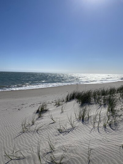 Hutchinson Island Dog Friendly Cozy Condo. Directly across from the BEACH! 