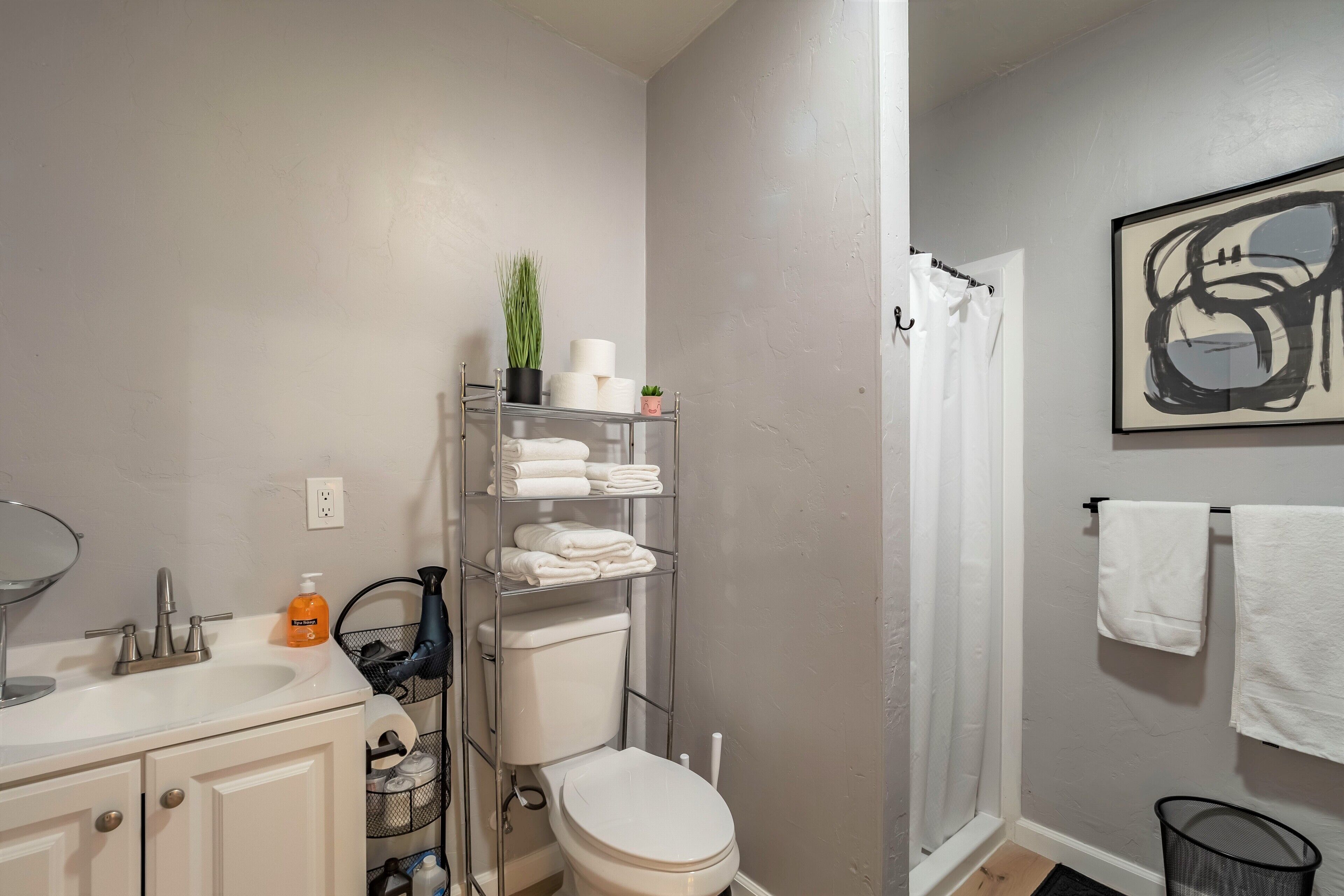 Comfy Studio in Carmichael, Netflix, Disney+