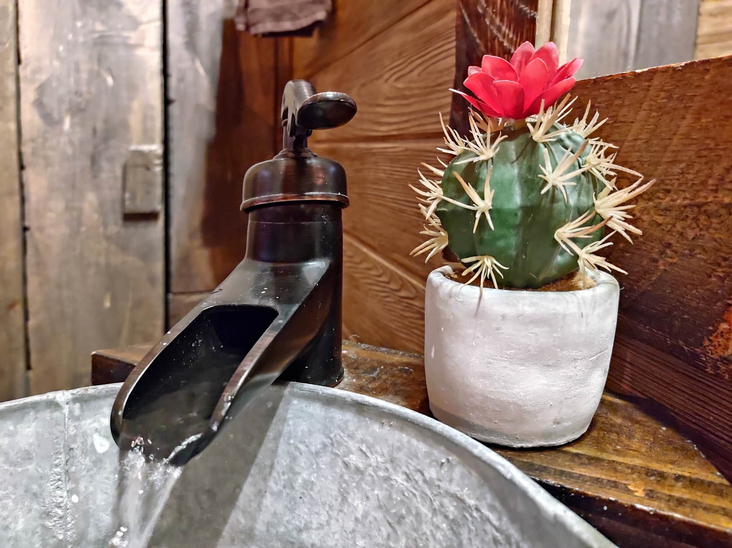 Een metalen wastafel met stromend water, een cactus in een witte pot, en een houten deur op de achtergrond.