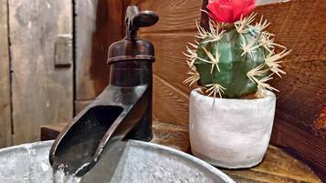 Een metalen wastafel met stromend water, een cactus in een witte pot, en een houten deur op de achtergrond.