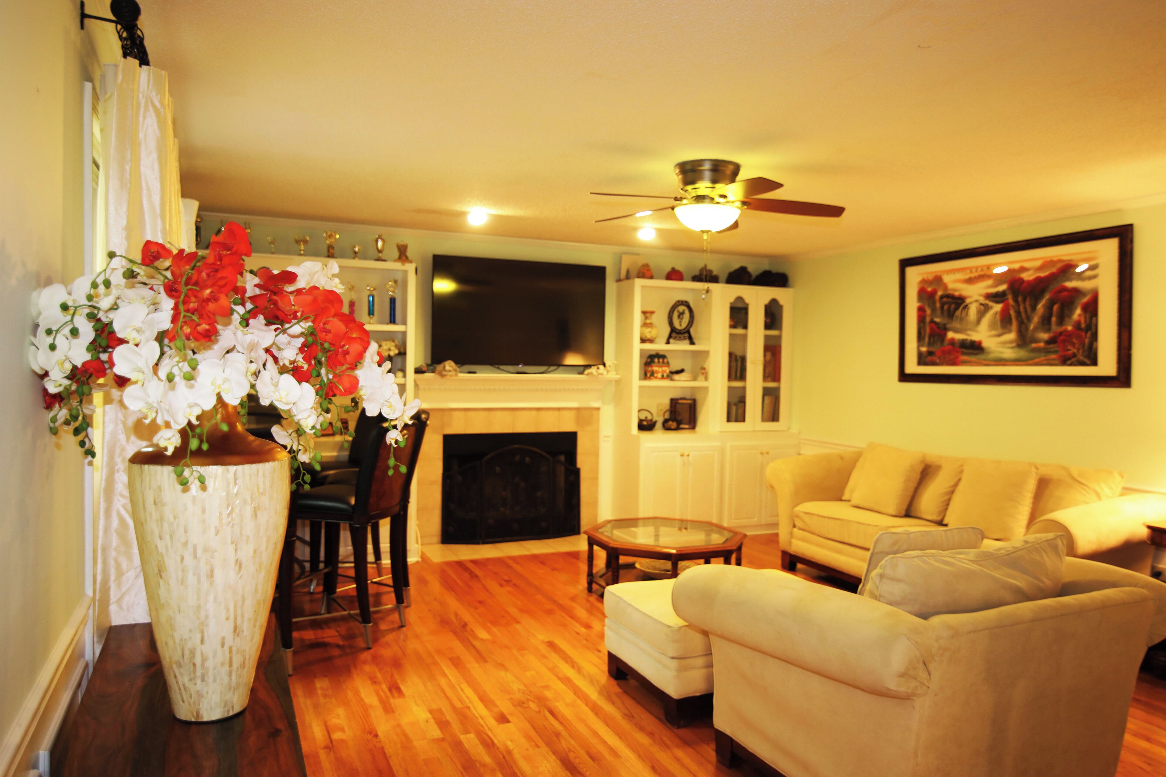 Smart TV, fireplace, books, printers