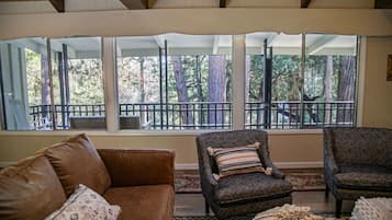 Smart TV, fireplace, ping pong, books