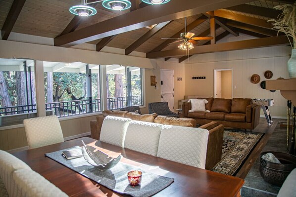 Smart TV, fireplace, ping pong, books