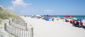 Flock of Sea Girls by Sea Scape Properties