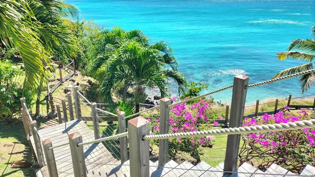 Eine Holztreppe führt zu einem Strand mit klarem, blauem Wasser, umgeben von Grünpflanzen und rosa Blumen.