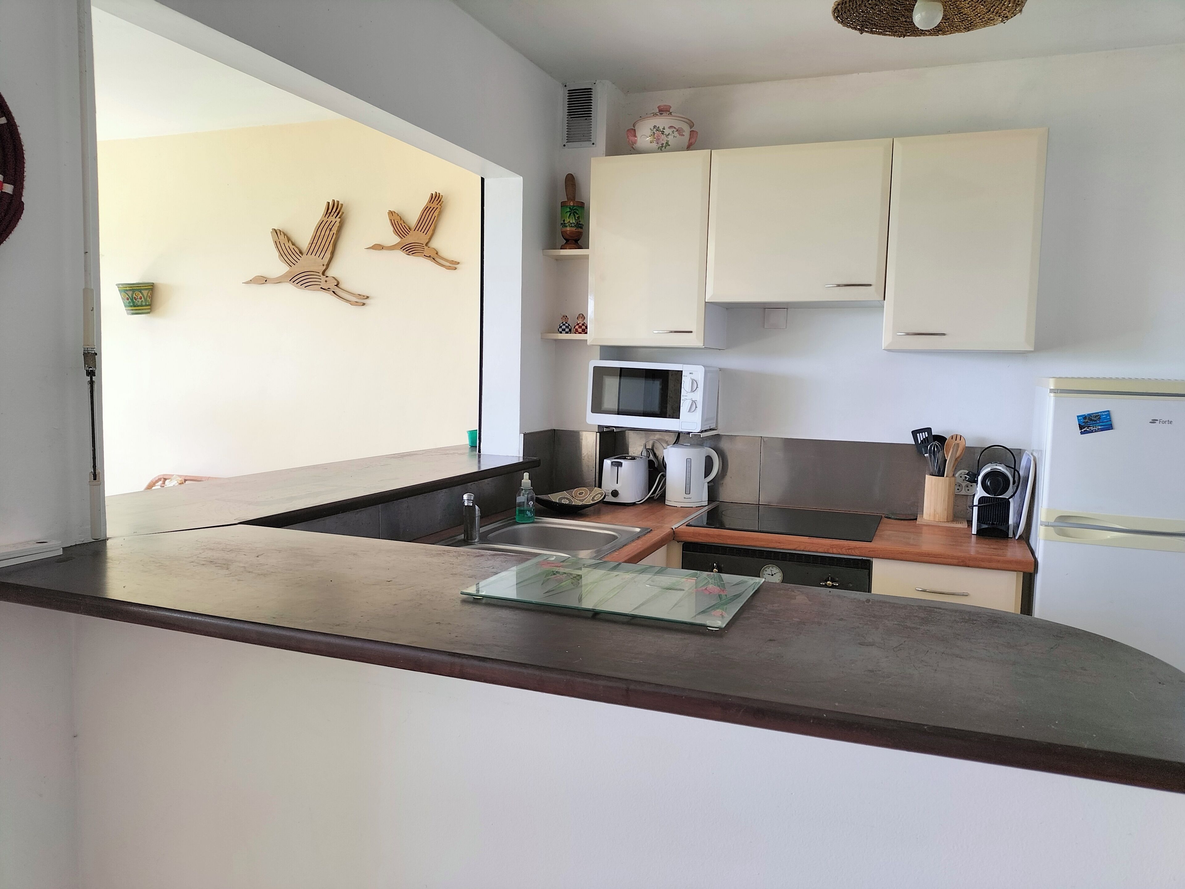 Coffee/tea maker, fridge, microwave, oven