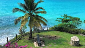 Eine tropische Strandansicht mit freiem Blick auf das Meer, einer Palme und einer kleinen Insel in der Ferne.