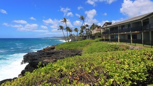 A coastal hotel with a view of the ocean and palm trees. - Oceanfront Condo with Stunning Views & AC (Koloa)