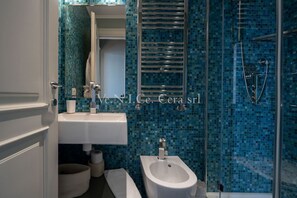 Shower, hair dryer, bidet, towels