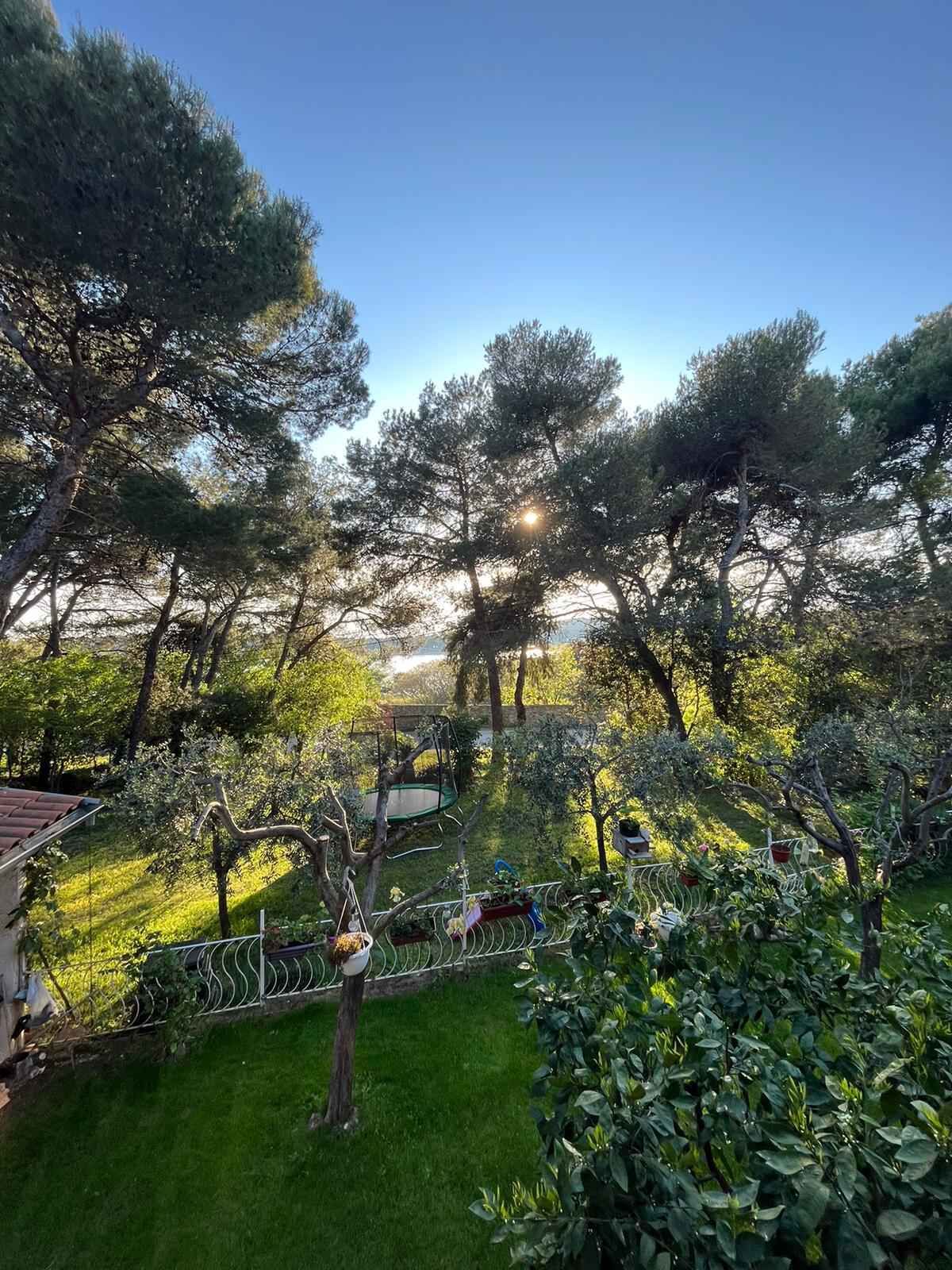 Um jardim com árvores, um balanço e uma cerca.