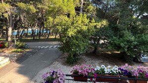 A street lined with trees and a sidewalk with flower planters. - Holiday apartment Beach apartment Petra (Pula)