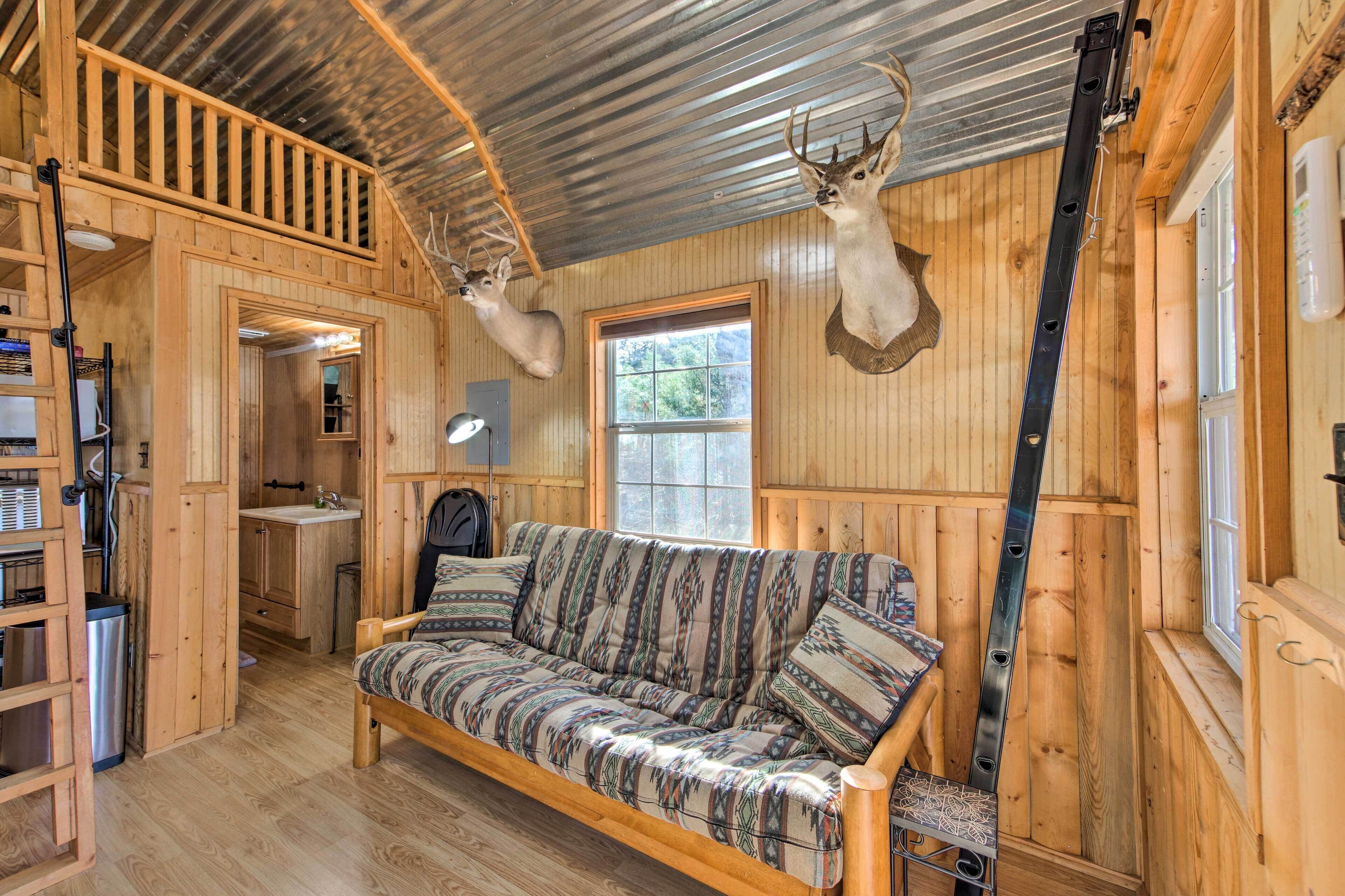 Lakefront Cabin w/ 2 Lofts, Boats on 4 Acres