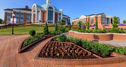 Near Downtown-HPU-High Point Regional