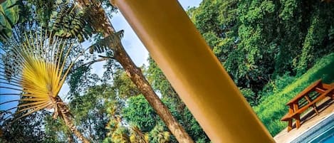 Uma área de piscina com água azul cristalina, rodeada por vegetação exuberante e palmeiras. Há espreguiçadeiras e um banco de madeira perto da piscina.