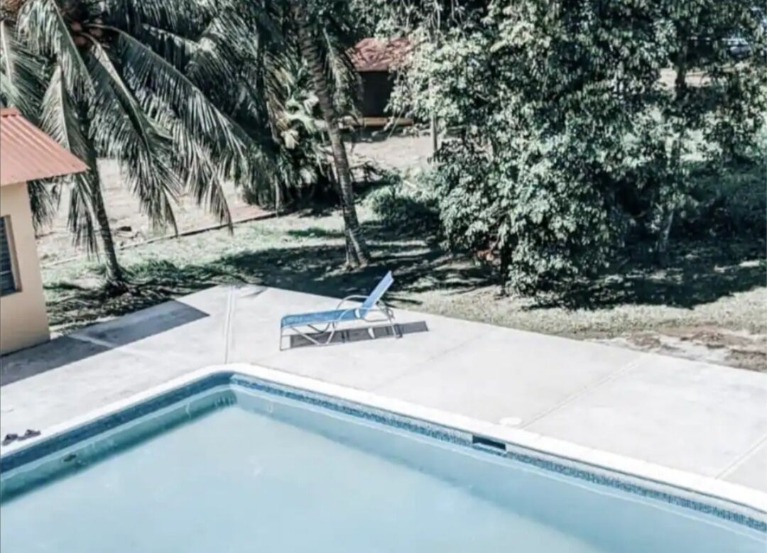 A swimming pool with a blue edge, a lounge chair, and a palm tree in the background.