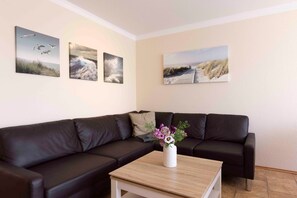 تلفزيون، مشغل دي في دي، ستيريو