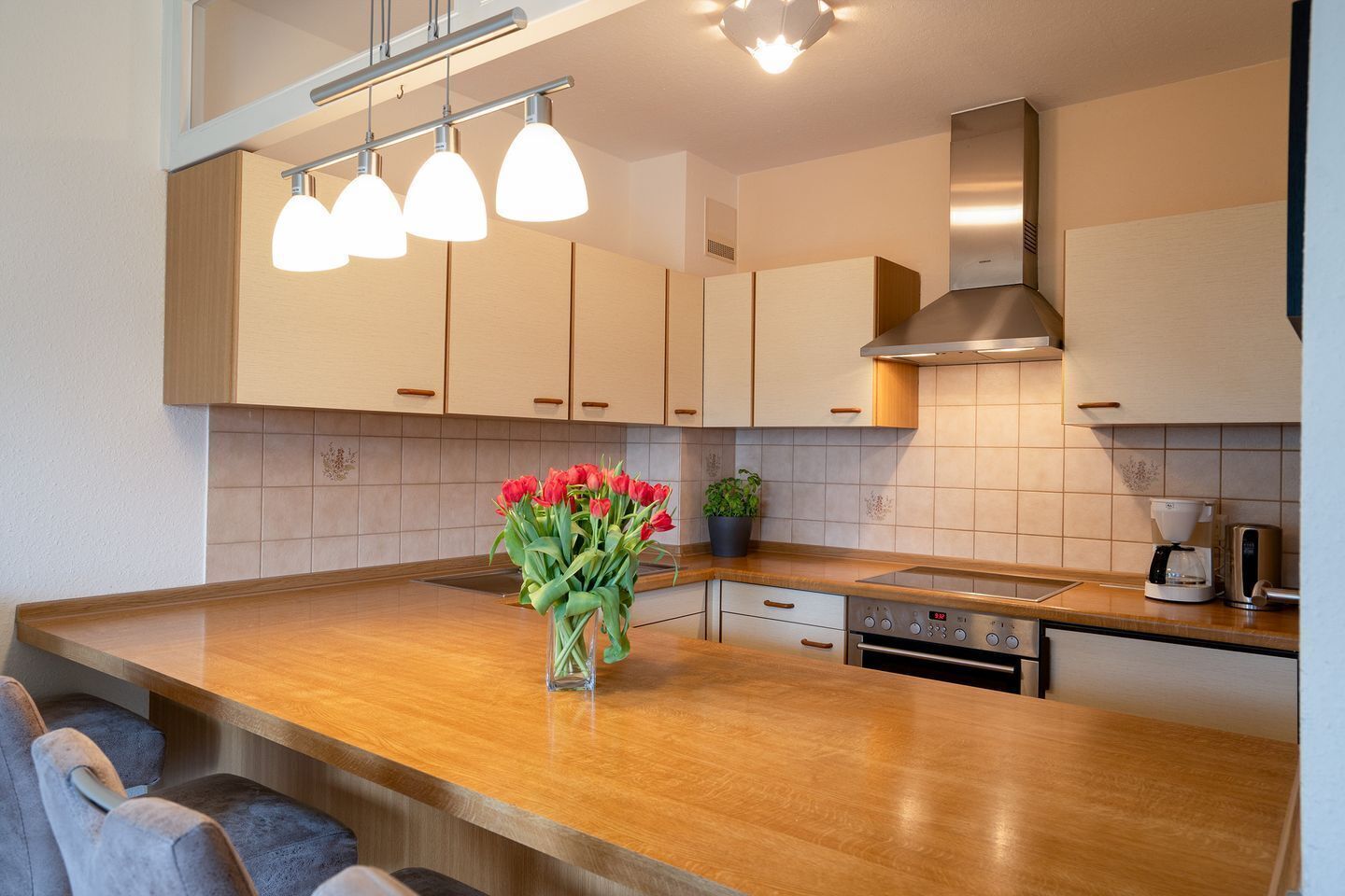 Refrigerador, horno, placa de cocina, lavavajillas