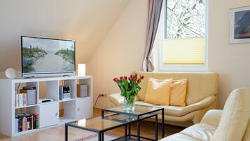 Fernseher, Stereoanlage