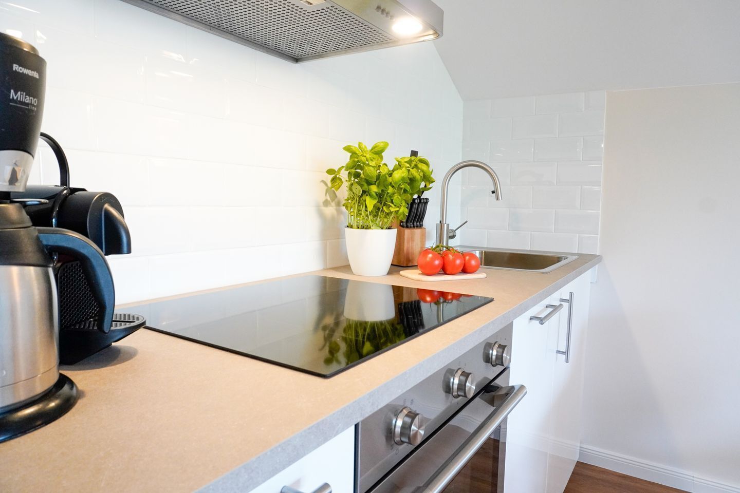 Una cocina moderna con una placa de inducción negra, una cafetera, una planta en maceta y un fregadero.