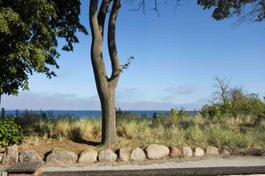 Unclassified image, 3 of 17, button