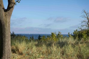 Unclassified image, 2 of 17, button