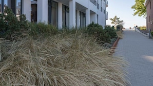 A modern building with a paved walkway and a grassy area in front.