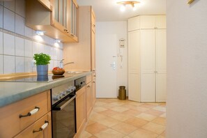 A kitchen with a stove, sink, cabinets, and a potted plant.