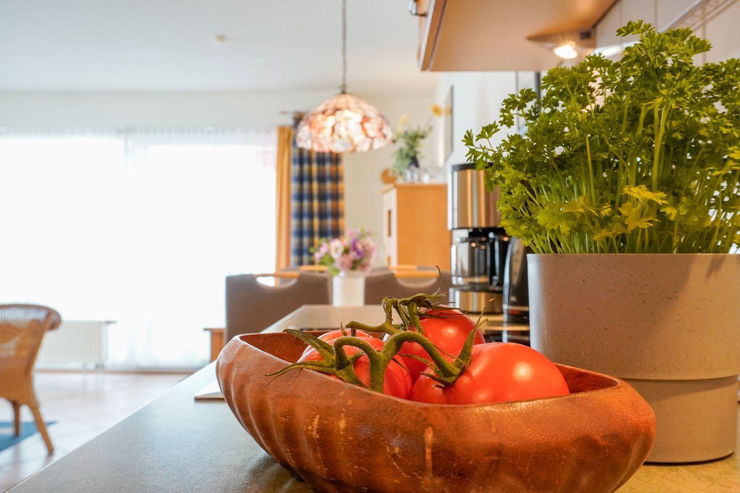 A kitchen with a copper bowl containing tomatoes and a potted plant.