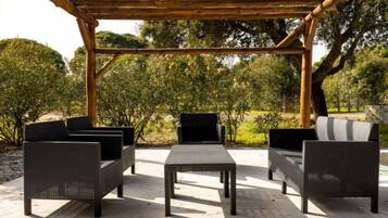 Terras