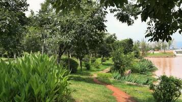 Un sentier qui mène à un plan d’eau, bordé de chaque côté d’arbres et de verdure.