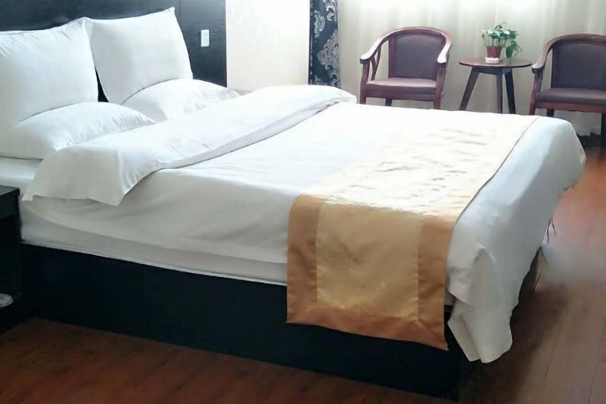 A hotel room with a bed, two chairs, a small table, and a potted plant.