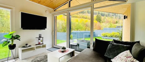 Télévision, cheminée