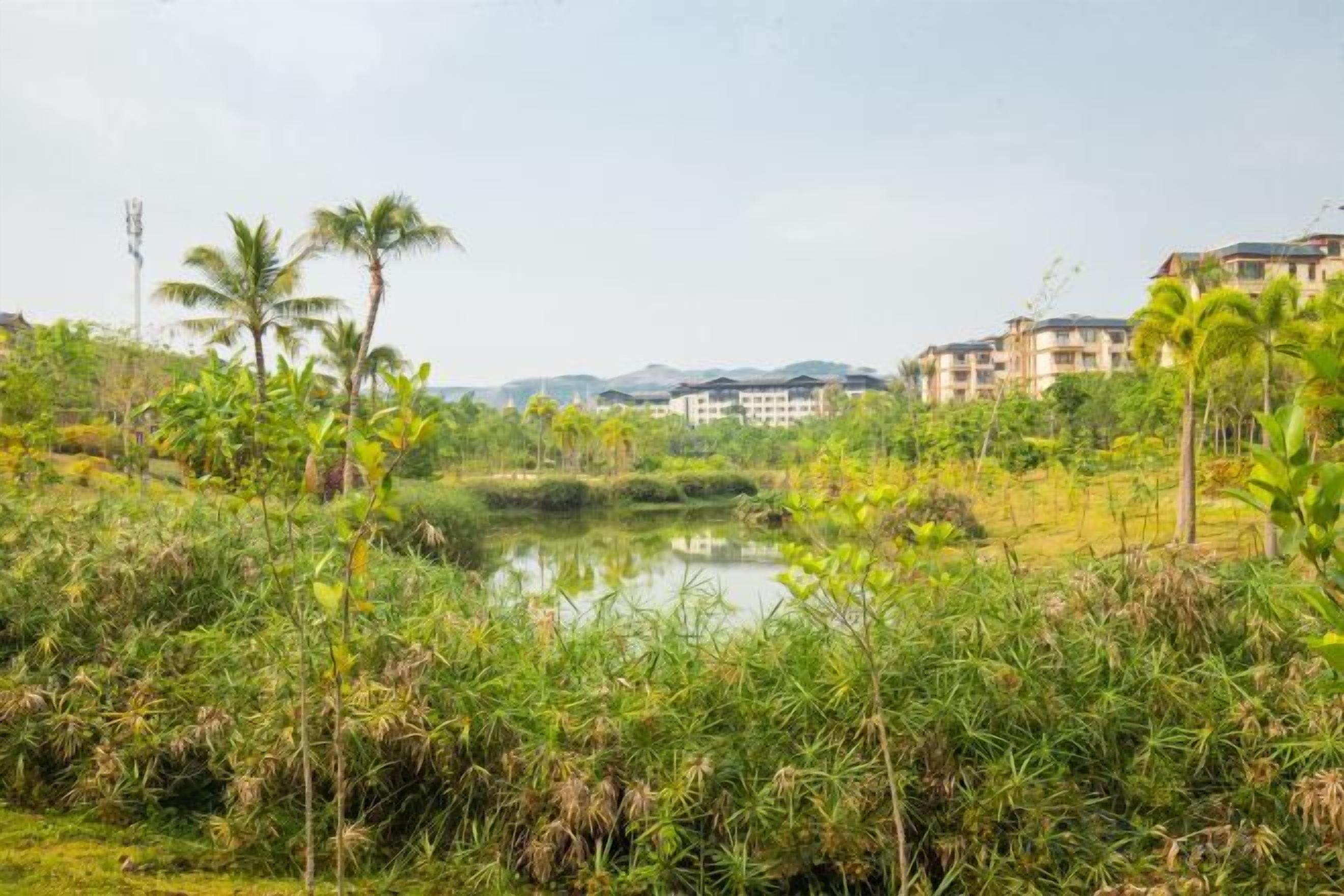 A natural landscape with a pond, dense vegetation, and buildings in the background.