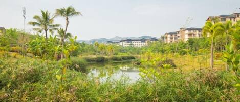 A natural landscape with a pond, dense vegetation, and buildings in the background.