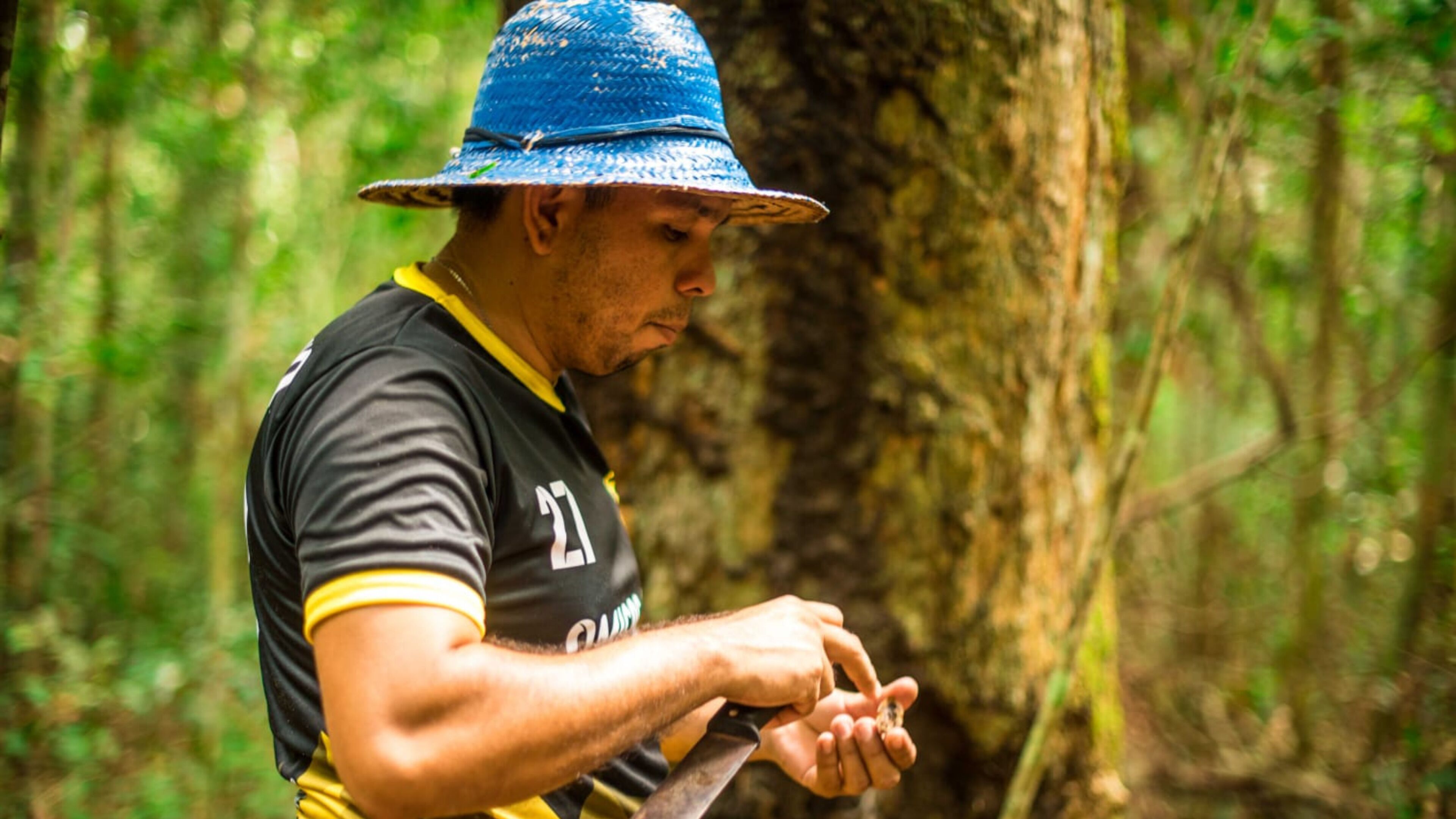 A person wearing a black shirt with yellow trim and the number 27, engaged in an outdoor activity, possibly related to forestry or tree maintenance, in a wooded area.