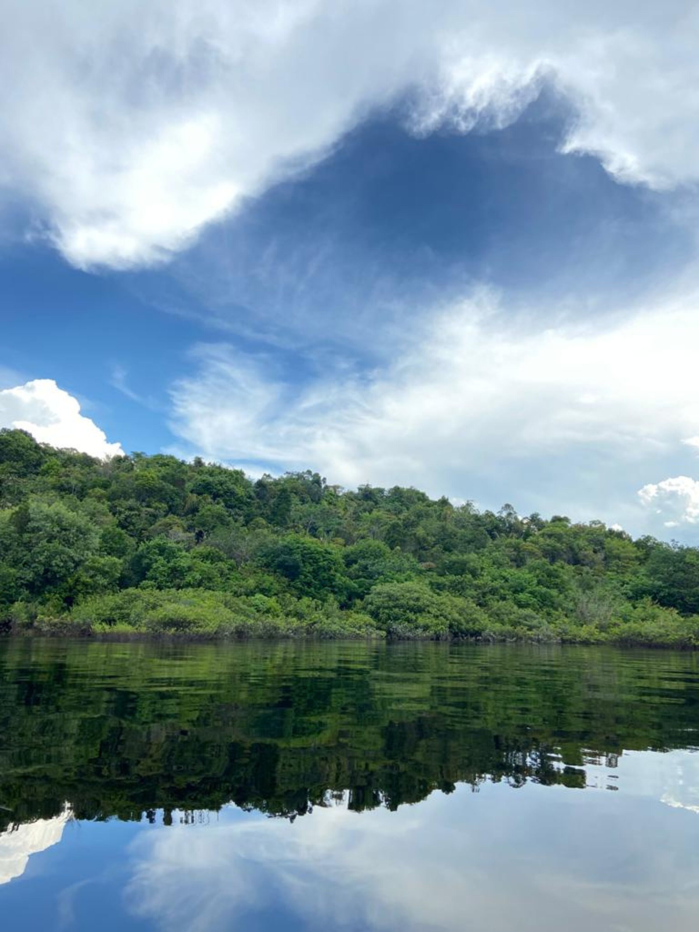 Un lago tranquilo con densa vegetación verde en la orilla opuesta y un cielo parcialmente nublado.