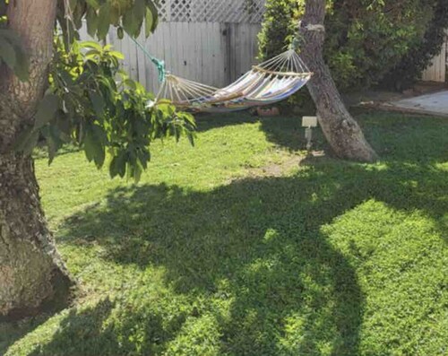 Best Location House in Hollywood, CA    Close to Everything!