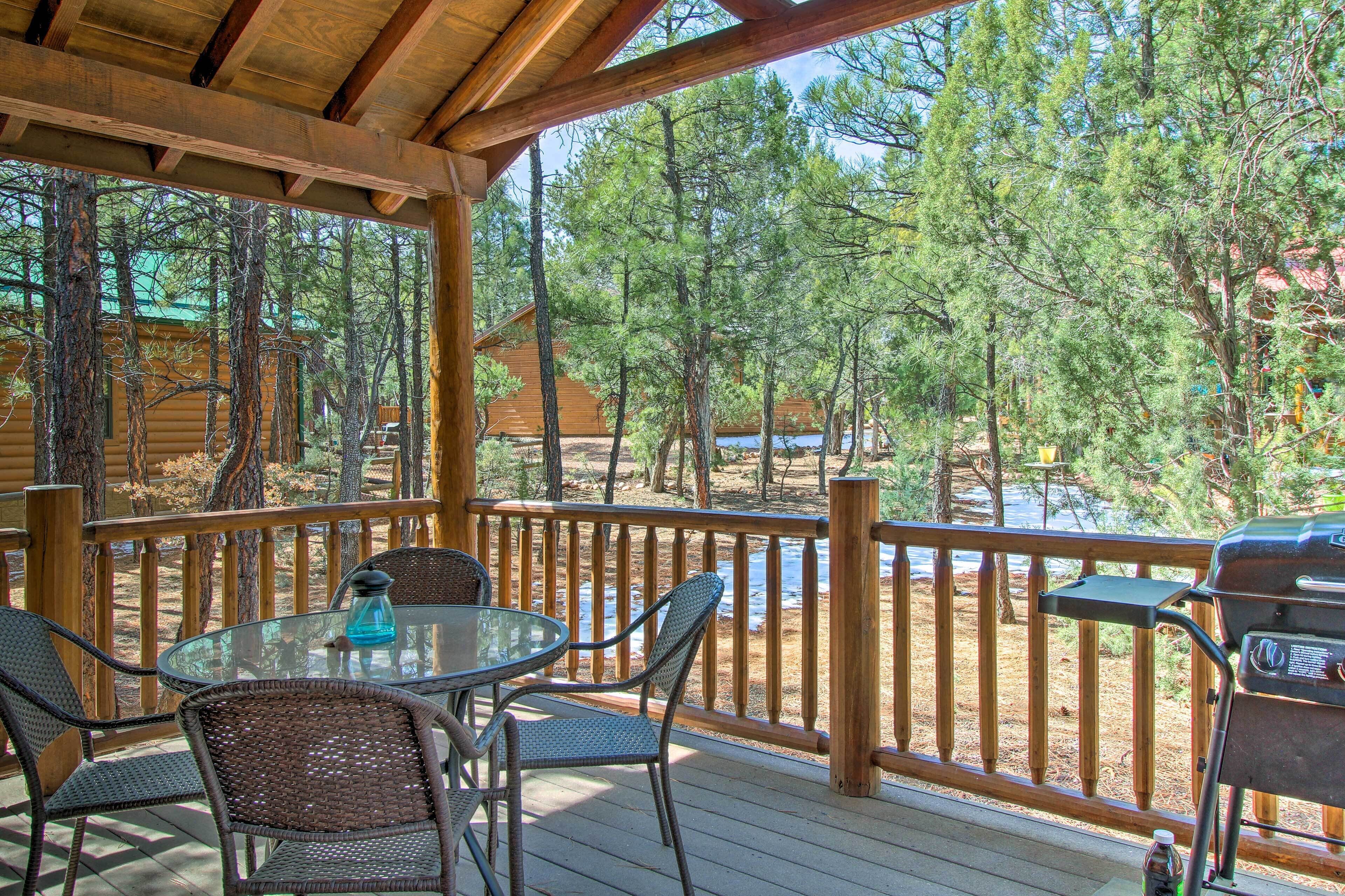 Cozy Show Low Retreat w/ Grill ~ 3 Mi to Dtwn