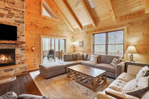 TV, fireplace, video games, DVD player