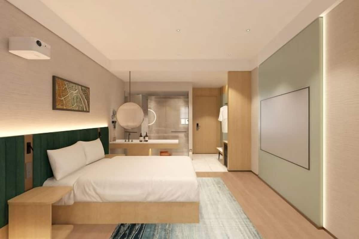 Una habitación de hotel moderna con una cama grande, una mesita de noche, un espejo, un armario y un televisor de pantalla plana.