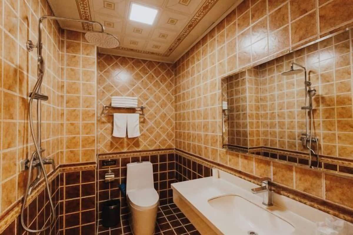 Ein Badezimmer mit Dusche, Toilette und Waschbecken, ausgestattet mit gemusterten Fliesen und einem Spiegel.