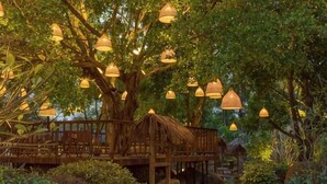 A treehouse with a thatched roof, surrounded by lush greenery and hanging lamps.