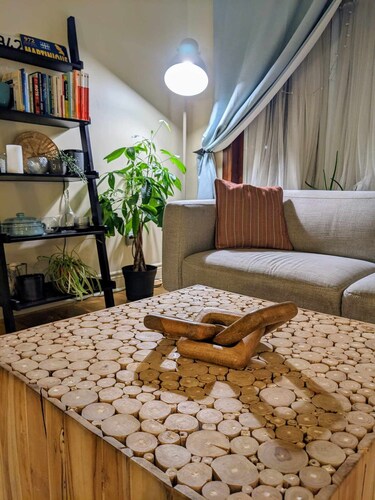 Spacious Convenient place, 10 min from Downtown