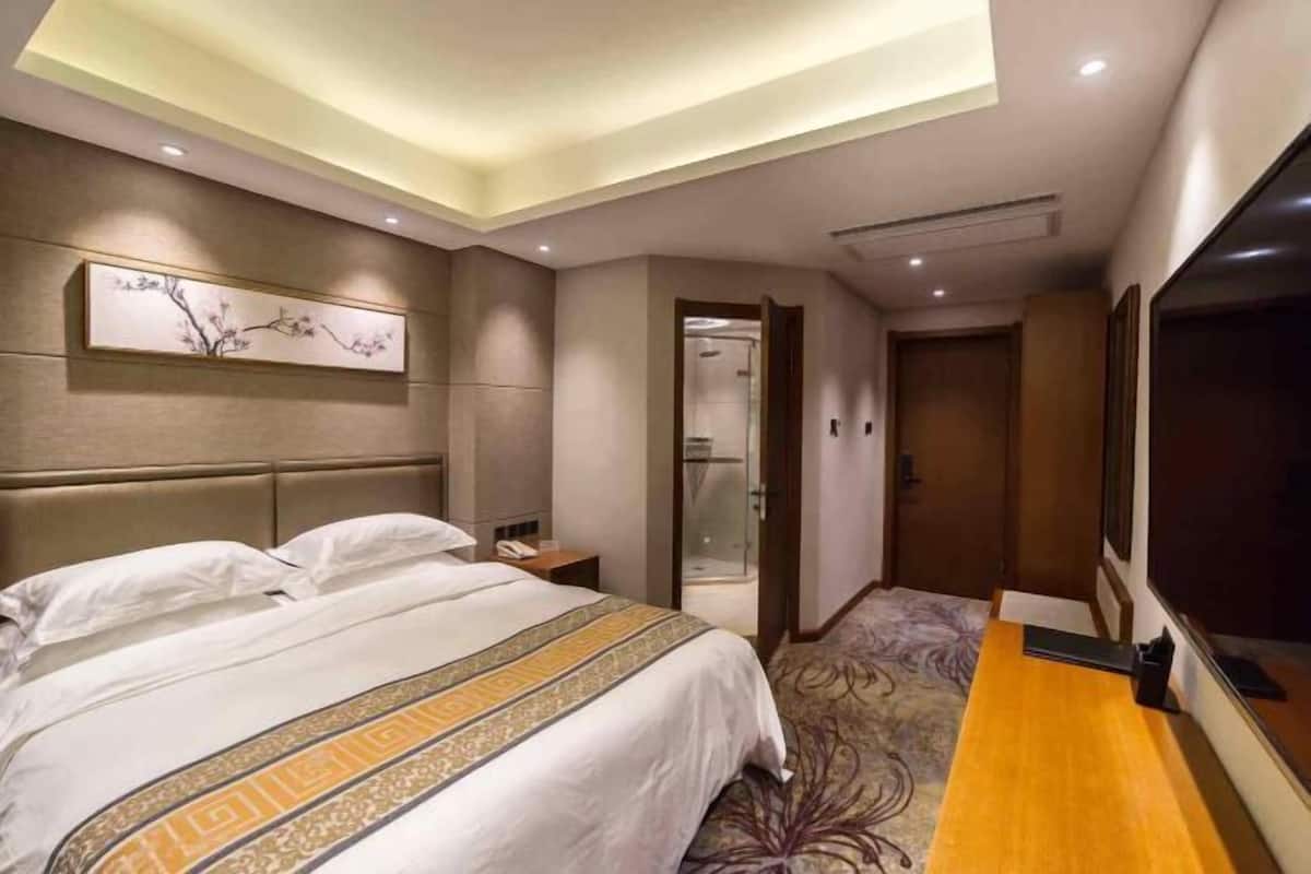 Habitación de hotel con cama, mesita de noche, televisor, ducha y puerta que da a otra habitación.