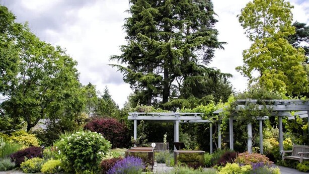 Un jardín con un pérgola, zona de estar y diversas plantas.